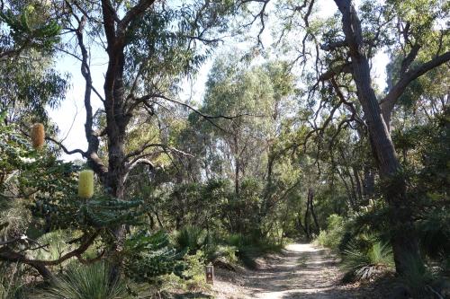 Pleasant walk trail through the bush and near the lake