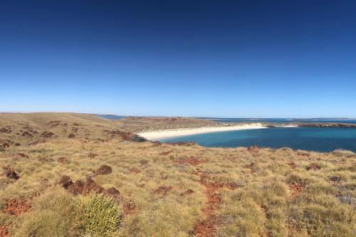 Native low vegetation looking out onto a sweeping sandy bay at Malus Island
