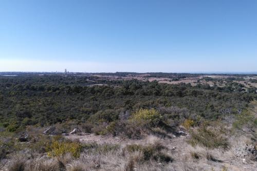 View of bushland from the summit of Mount Brown