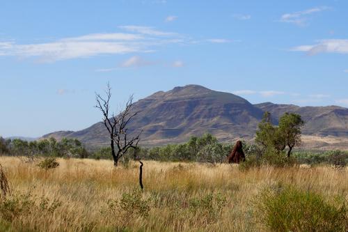 view of mount bruce in the distance