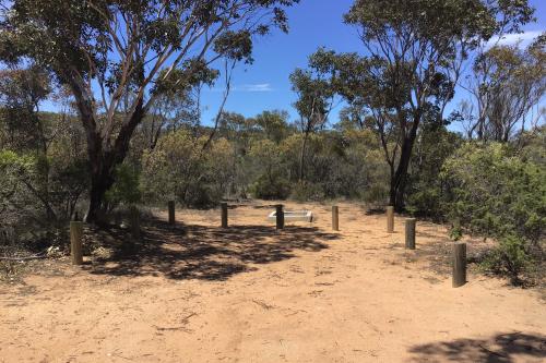 Campsite with fire pit and surrounding bush