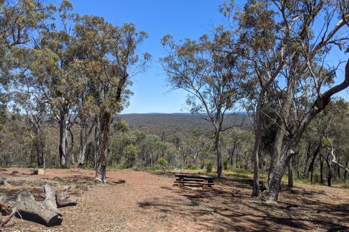 Wandoo woodland and picnic area at Mount Observation