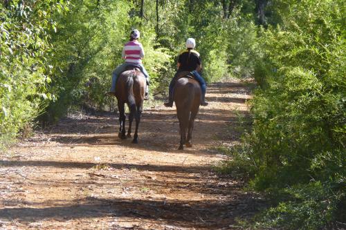 Two people riding horses on dirt track.