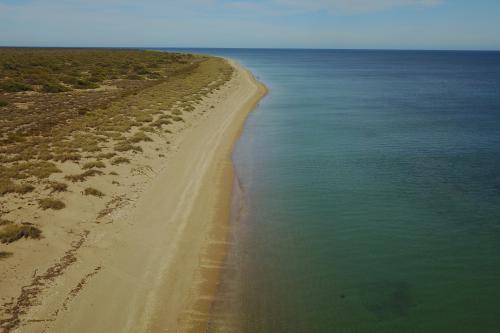 Aerial view of a calm sea next to a sandy beach on Thevenard Island Nature Reserve