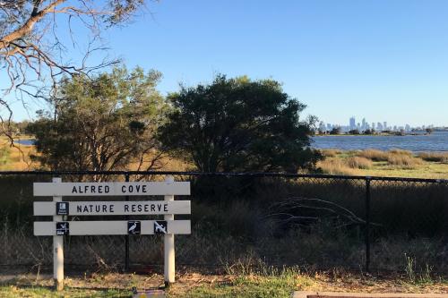 Alfred Cove Nature Reserve with Perth City skyline in the distance