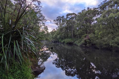 Early morning by the Warren River at Blackbutt