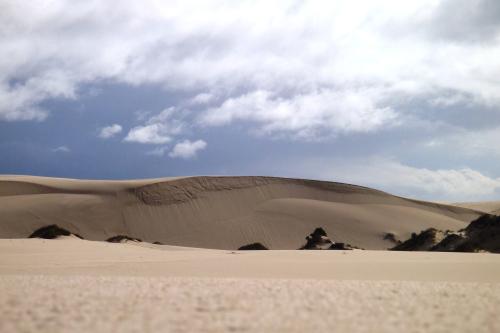 Yeagarup Dunes