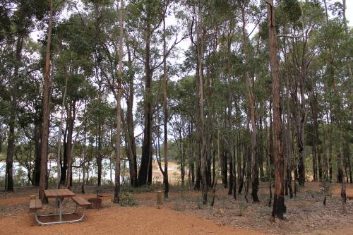 view over the logue brook dam from campsite number 2