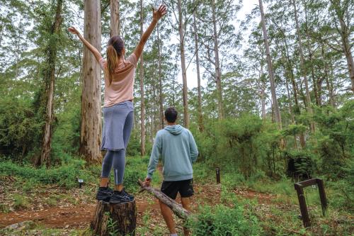 Two people standing in the forest