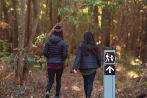 Two people walking on a forest trail 