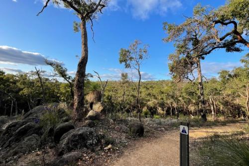 View of walking trail through bush