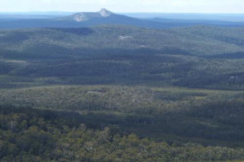 View over the Walpole Wilderness