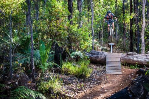 Man riding MTB over jump in the forest