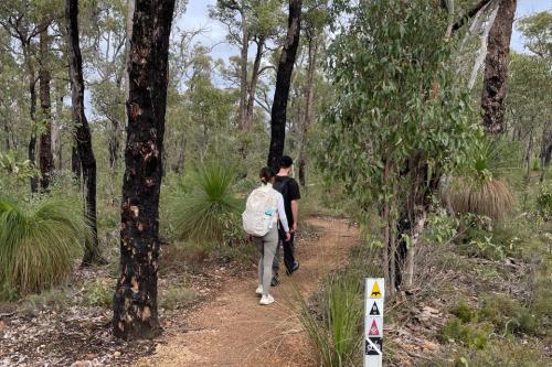 Two people walking on path in the bush