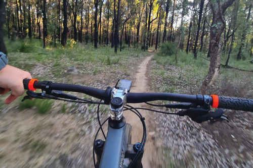 View of trail over the handle bars of a mountain bike. 