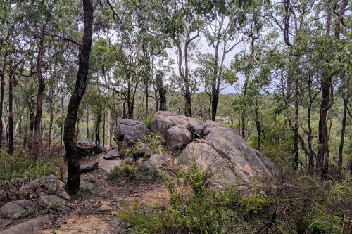 Trees and granite along Jorgensen Park Walk Trail, Kalamunda