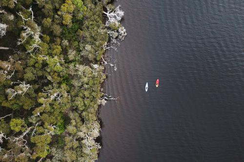 Aerial view of two kayakers on water. 