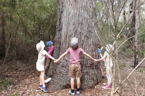 Children holding hands around the base of a large tree