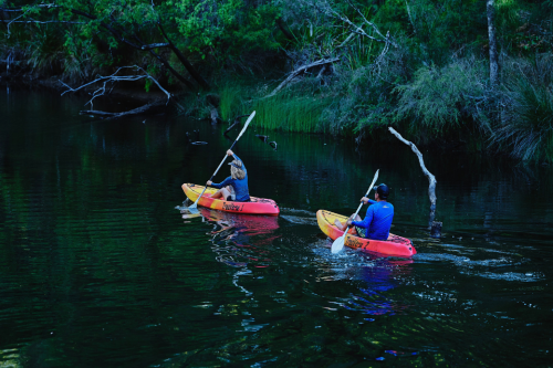 Two people kayaking on a river.