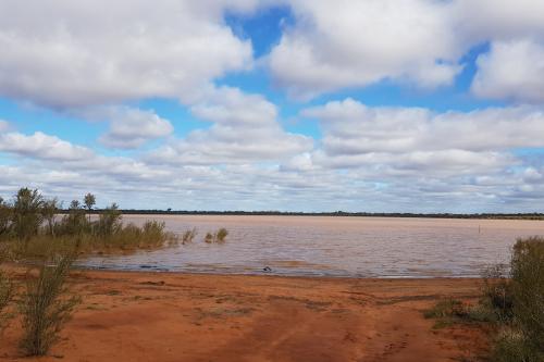 View of lake surrounded by small shrubs, red dirt and cloudy skies above. 