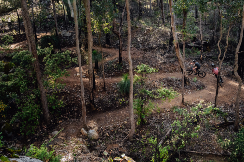 Trail windong up a hillside between trees with two people riding mountain bikes. 