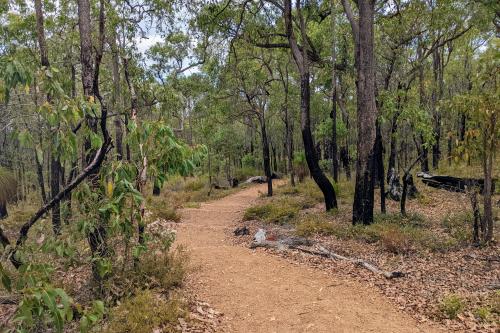 Camel Farm to Hewetts Hill on the Bibbulmun Track