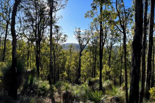 Views from the Island Pool Walk Trail