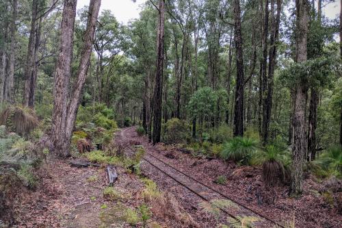 Nyingarn Bidi Trail between Chadoora Campsite and Dwellingup