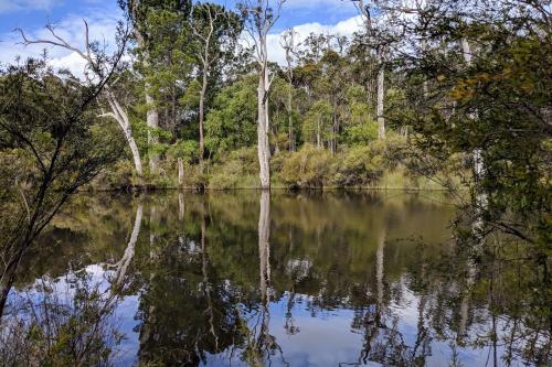 The Margaret River