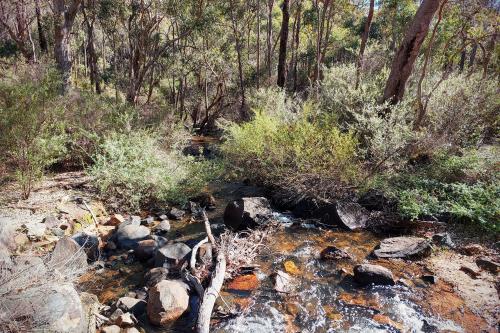 Piesse Brook along the Schipp Road Walk