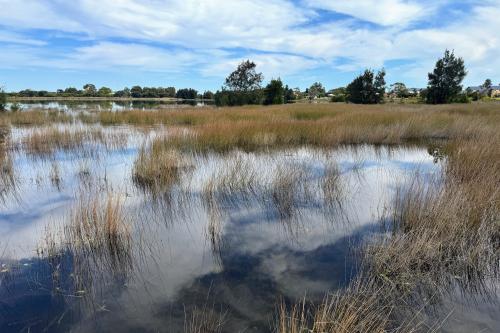 Lake Richmond viewed from the boardwalk