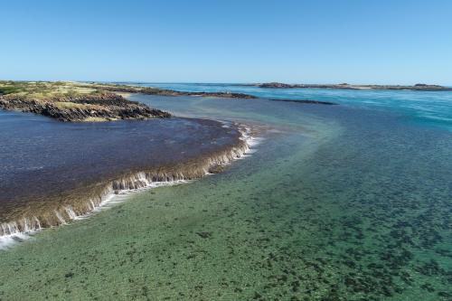 View of reef exposed out of the water while the tide is out. 