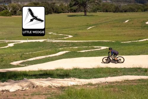 Person riding mountain bike trail.