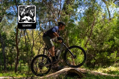 Person riding on trail. 