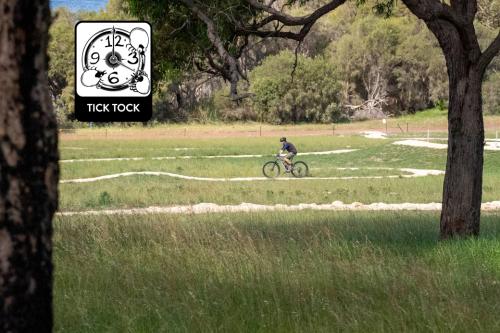 Person riding mountain bike on a trail.