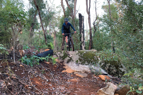 Man riding mountain bike on trail.