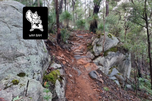 Graphic overlay of the trail name onto an image of a mountain bike trail. 