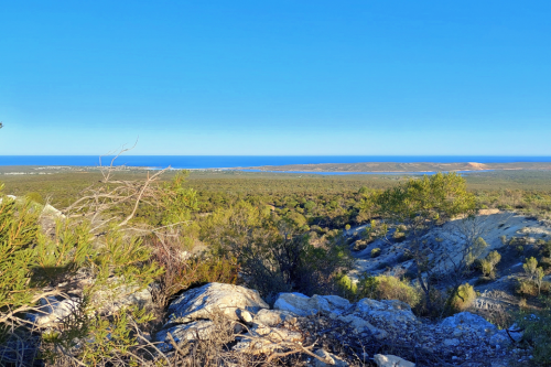 View over landscape to the ocean. 