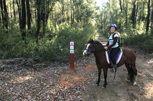 Person riding horse on trail. 