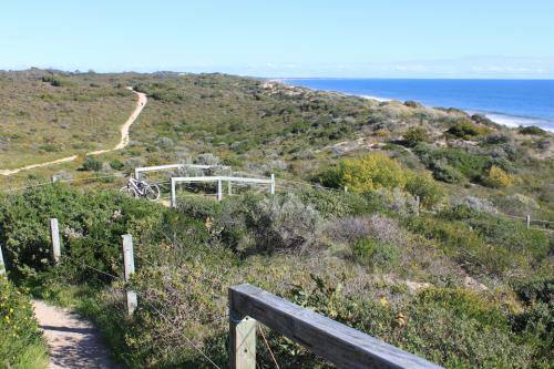 Sandy trail leading through shrubs near the ocean. 