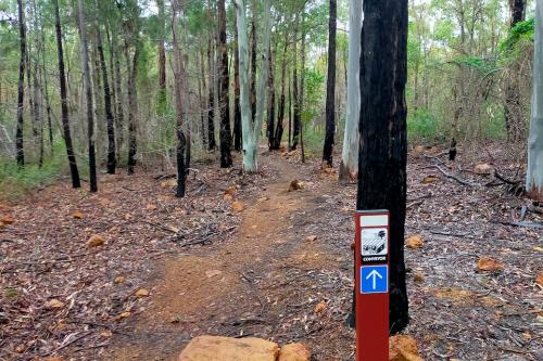 Dirt trail in the bush with a signpost. 