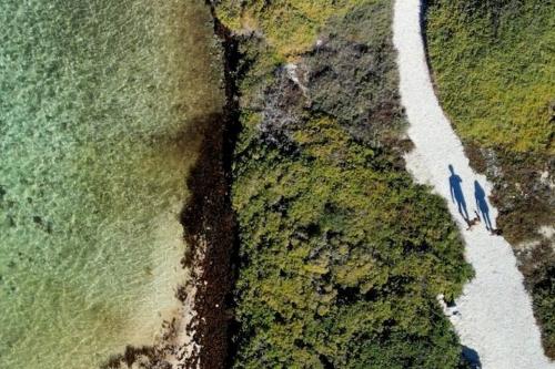 Aerial view of two people walking on a path. 