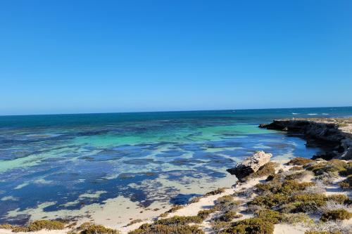 View of the ocean from the trail. 