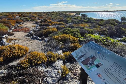 Trail signage and the trail.