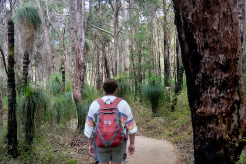 Person walking on trail in forest. 
