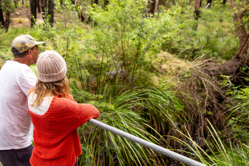 Two people standing on a bridge overlooking lush green plants. 
