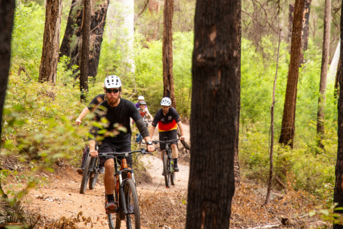 People riding bikes on a trail in the forest. 