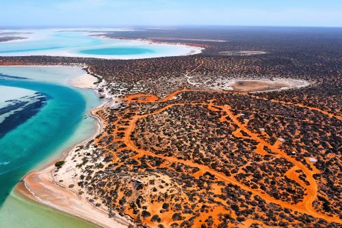 Aerial view of campground next to the ocean. 