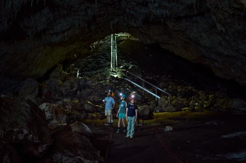 Family standing in first large chamber of Giants Cave, viewing cave formations by torchlight.
