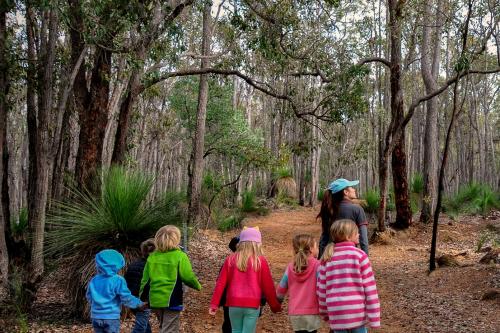 An adult and children walking on a forest path.